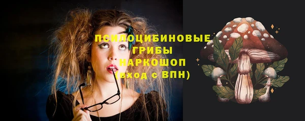 a pvp Алзамай
