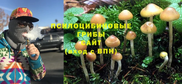 амфетамин Алексин