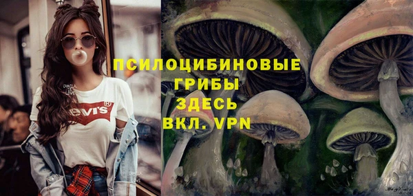 герыч Алексеевка